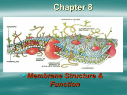 Membrane structur Chap 8