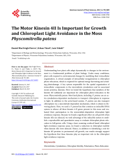 The Motor Kinesin 4II Is Important for Growth and Chloroplast Light