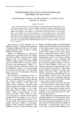 UNFERTILIZED OOCYTES IN STREPTOCEPHALIDS: RESORBED
