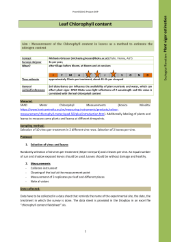 Leaf Chlorophyll content