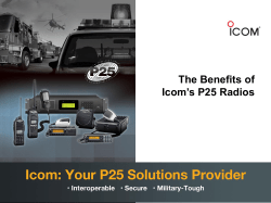 P25 PowerPoint Template