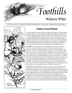 indian food plants - City of Palo Alto