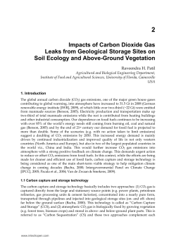 Impacts of Carbon Dioxide Gas Leaks from Geological
