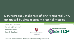 Downstream uptake rate of environmental DNA estimated by simple