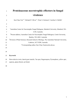 Storming the plant cell &ndash; proteinaceous necrotrophic effectors inside