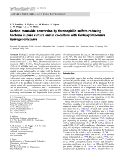 Carbon monoxide conversion by thermophilic sulfate