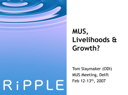 Slaymaker-livelihoods and growth