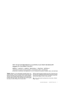THE USE OF ENVIRONMENTAL SCANNING ELECTRON