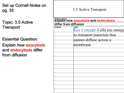 3.5 Active Transport, Endocytosis, and Exocytosis