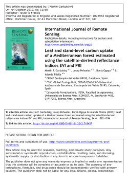 Leaf and stand-level carbon uptake of a Mediterranean forest