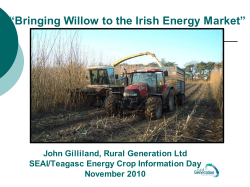 Bringing Willow to the Irish Energy Market
