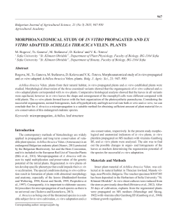 morphoanatomical study of in vitro propagated and ex vitro adapted