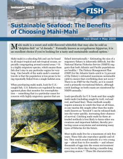 Sustainable Seafood: The Benefits of Choosing Mahi-Mahi