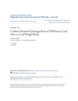 Carbon Dioxide Exchange Rate of Tall Fescue
