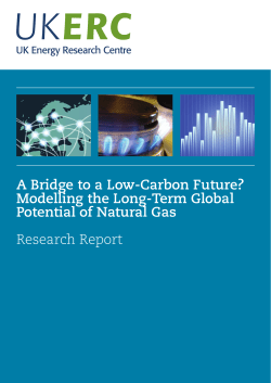 A Bridge to a Low-Carbon Future? Modelling the Long