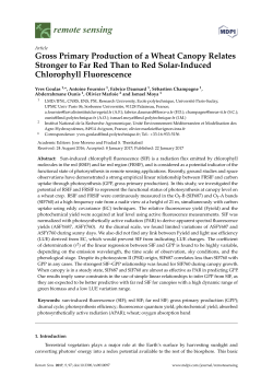Gross Primary Production of a Wheat Canopy Relates