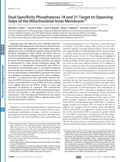 Dual Specificity Phosphatases 18 and 21 Target to