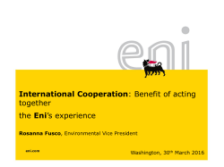 International Cooperation: Benefit of acting together