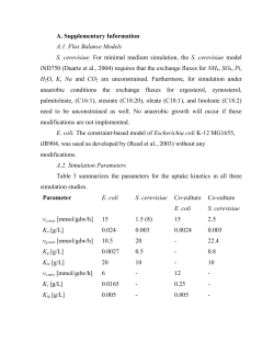 A. Supplementary Information A.1. Flux Balance Models S