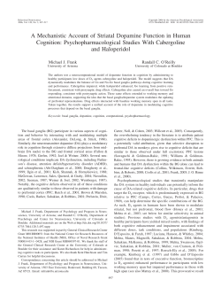 A Mechanistic Account of Striatal Dopamine Function in Human