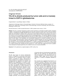 Original Article YKL-40 is directly produced by tumor cells and is