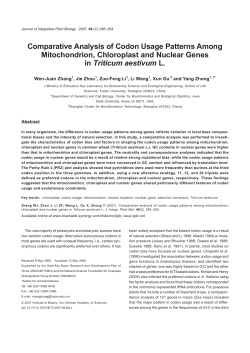 Comparative Analysis of Codon Usage Patterns Among
