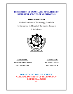 ESTIMATION OF ENZYMATIC ACTIVITIES OF