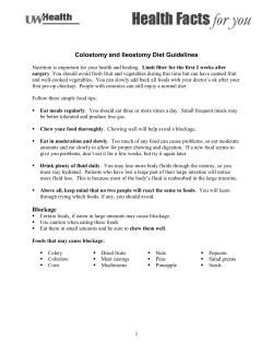 Colostomy and Ileostomy Diet Guidelines