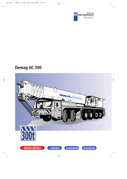 Demag AC 300
