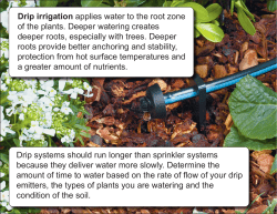 Drip systems should run longer than sprinkler systems because they