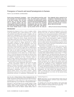 Emergence of muscle and neural hematopoiesis in humans