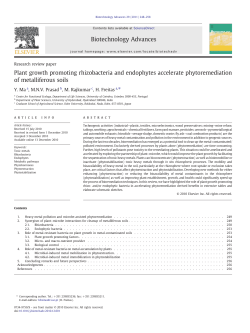 Plant growth promoting rhizobacteria and endophytes accelerate