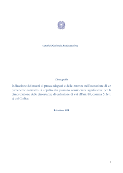 Indicazione dei mezzi di prova adeguati e delle carenze nell