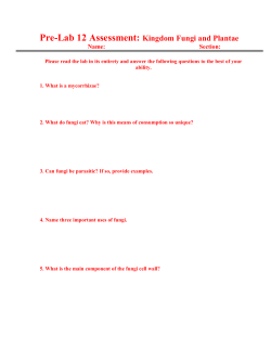 Pre-Lab 12 Assessment: Kingdom Fungi and