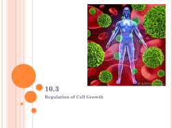 Adult Stem Cells
