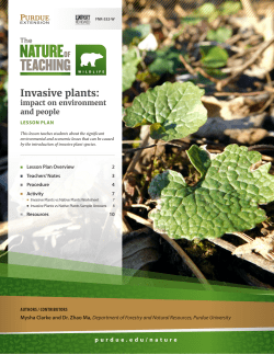 The Nature of Teaching &ndash; Invasive plants: impact on environment