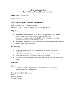 Life Cycles for Teachers - The Syracuse City School District