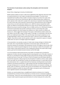 The interaction of scales between carbon cycling in the atmosphere