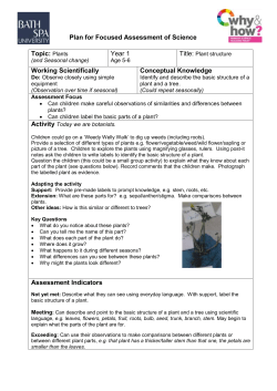 Planning Sheet for focused science Assessment Task