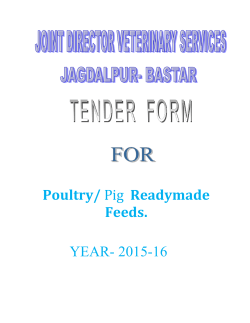 Specimen 3: Acceptance of Terms and Conditions in an affidavit