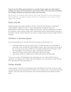 Ocean Dissolved Gases 2
