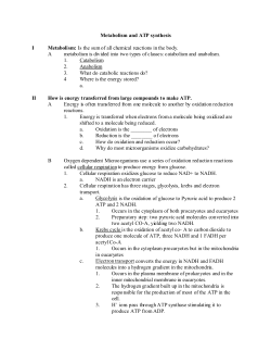 Metabolism and ATP synthesis I Metabolism: Is the sum of all
