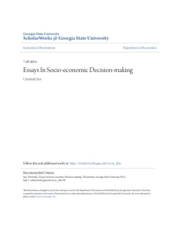 Essays In Socio-economic Decision-making