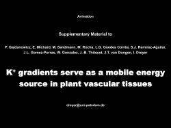 (ATP): H + /S symporters use the energy of the electrochemical H +