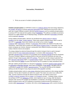 Intermediary Metabolism II