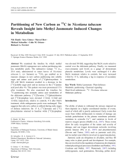 Partitioning of New Carbon as C in Nicotiana