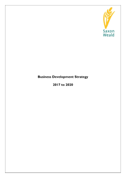 Business Development Strategy 2017 to 2020