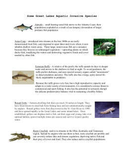 Aquatic Invasive Species