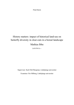 The influence of historical land-use on present butterfly