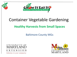 MG14 Container Vegetable Gardening